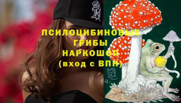 крисы Арсеньев