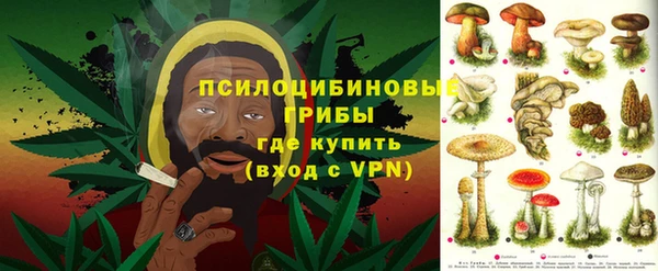 крисы Арсеньев