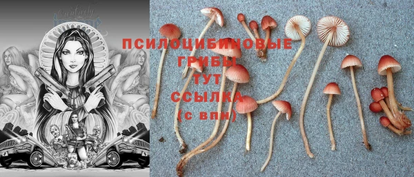 бутират Армянск
